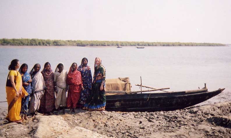 Tiger Widows dragging nets