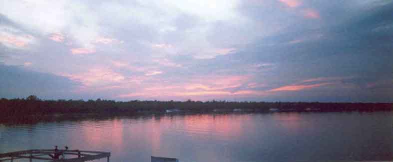 Sundarbans sunset