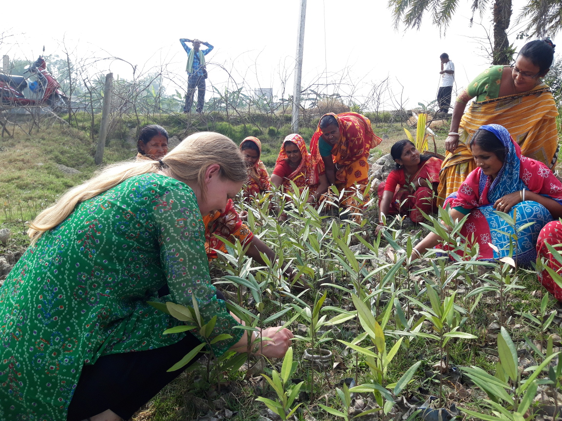 Sinead and women planting mangrove.
