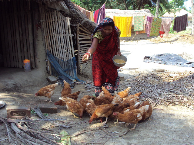 Parbati Mandal