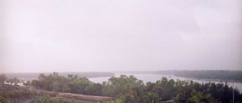 Sundarbans dawn